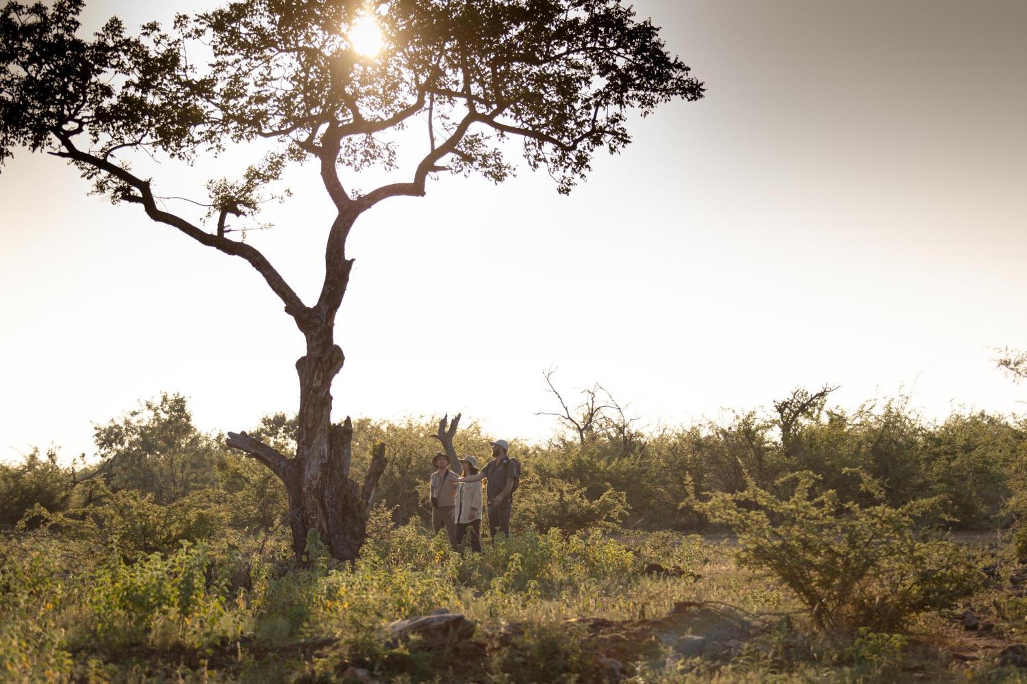 Rhulani Safari Lodge Madikwe Game Reserve Eksteriør billede