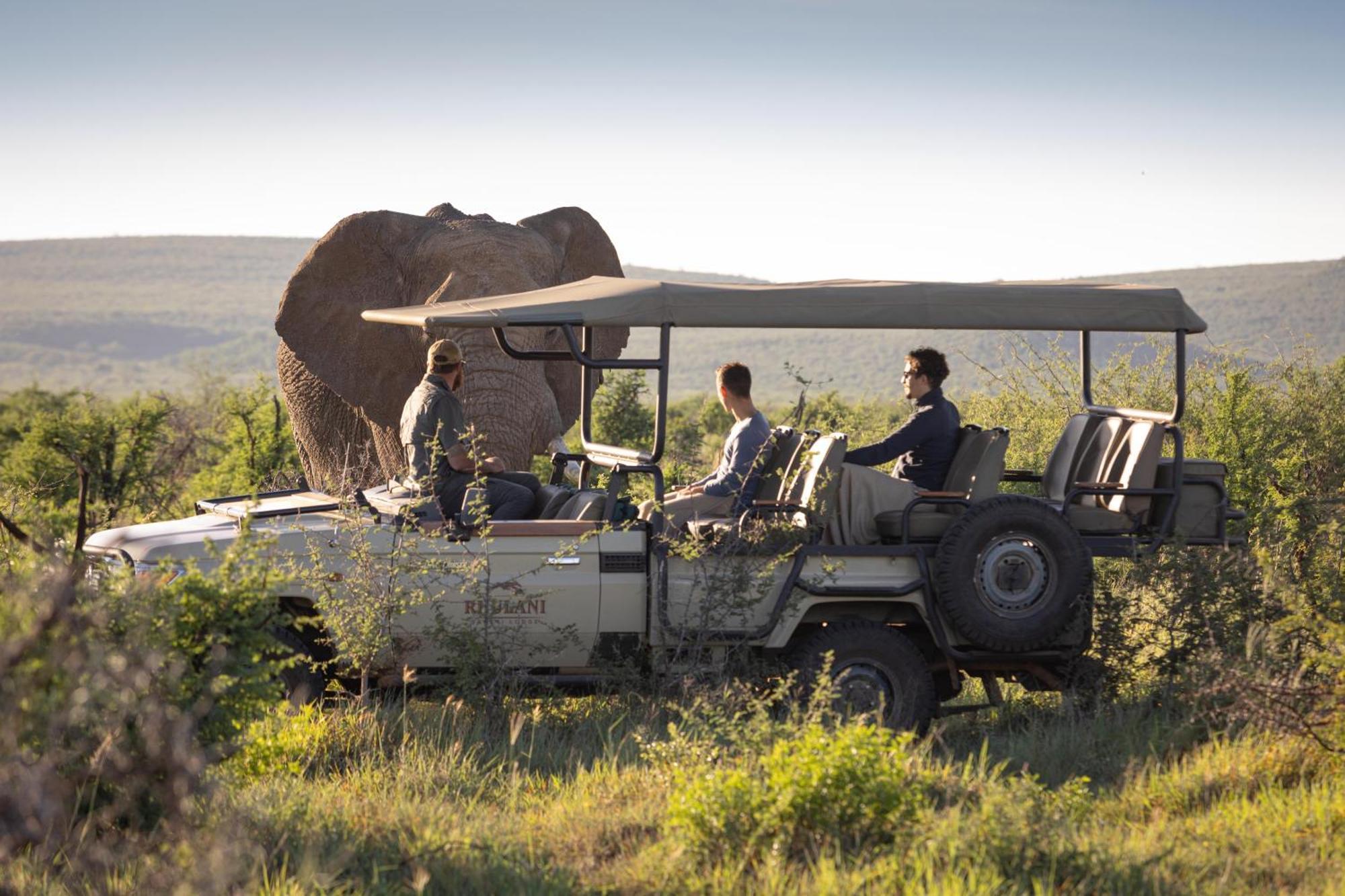 Rhulani Safari Lodge Madikwe Game Reserve Eksteriør billede