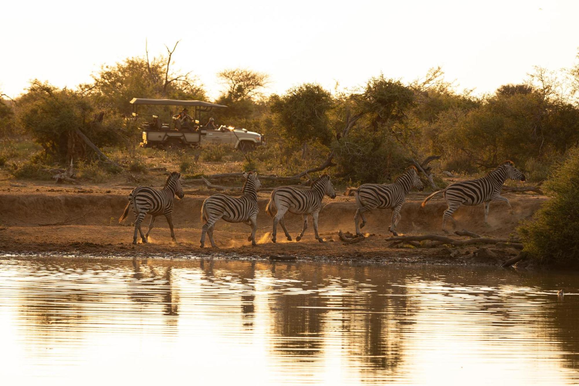 Rhulani Safari Lodge Madikwe Game Reserve Eksteriør billede